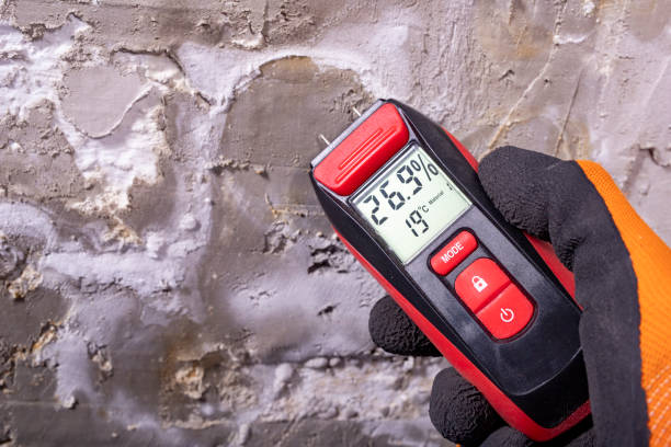 Best Attic Mold Remediation in Cohoes, NY